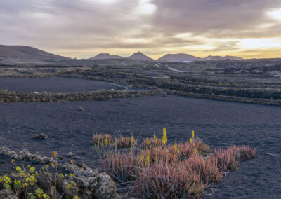 Nationalpark Timanfaya