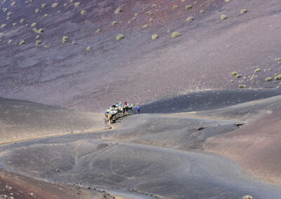 Nationalpark Timanfaya bei den Kamelen