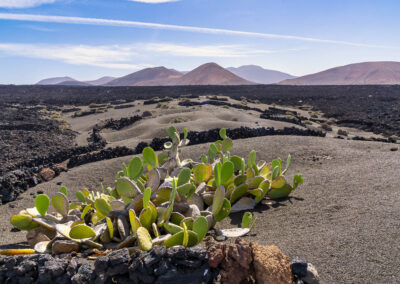 bei LZ-705 nahe Nationalpark Timanfaya